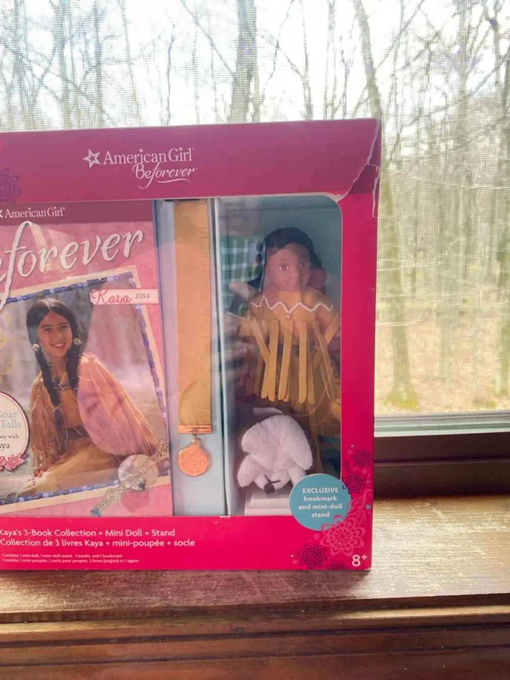 American Girl Beforever Box with Bright Pink Design (has been opened)